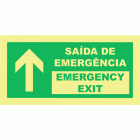 SA&Iacute;DA DE EMERG&Ecirc;NCIA  EM FRENTE (comlegenda em ingl&ecirc;s)