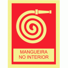 MANGUEIRA NO INTERIOR