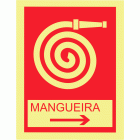 MANGUEIRA