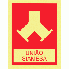 UNIÃO SIAMESA