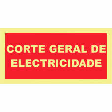 CORTE GERAL DE ELECTRICIDADE