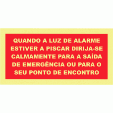 QUANDO A LUZ DE ALARME ESTIVER A PISCAR 