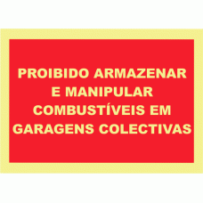 PROIBIÇÃO COMBUSTÍVEIS 