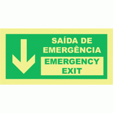 SA&Iacute;DA DE EMERG&Ecirc;NCIA  EM FRENTE (comlegenda em ingl&ecirc;s)