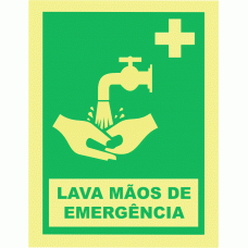 LAVA M&Atilde;OS DE EMERG&Ecirc;NCIA
