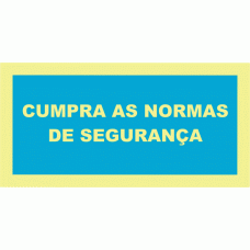 CUMPRA AS NORMAS DE SEGURANÇA