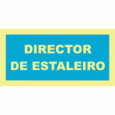 DIRECTOR DE ESTALEIRO