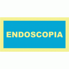 ENDOSCOPIA