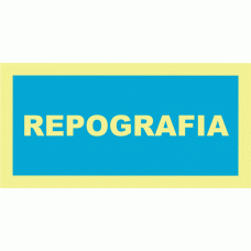 REPOGRAFIA