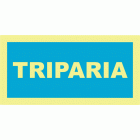 TRIPARIA