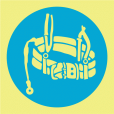 OBRIGAT&Oacute;RIO USAR CINTO DE SEGURAN&Ccedil;A