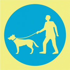 ENTRADA DE C&Atilde;ES S&Oacute; COM TRELA
