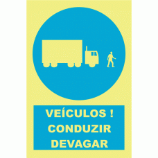 VE&Iacute;CULOS ! CONDUZIR DEVAGAR
