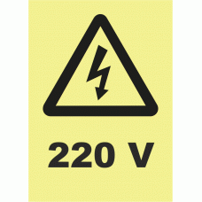 220 V