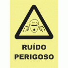 RU&Iacute;DO PERIGOSO