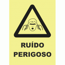 RU&Iacute;DO PERIGOSO