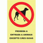PROIBIDA A ENTRADA DE ANIMAIS EXCEPTO C&Atilde;ES GUIAS