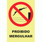 PROIBIDO MERGULHAR 
