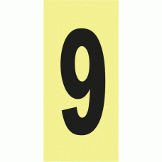 ALGARISMO 9